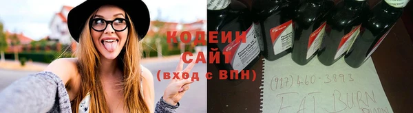 apvp Алексин
