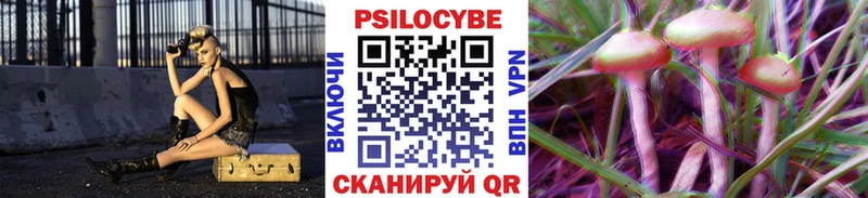 закладка  Нолинск  Псилоцибиновые грибы Magic Shrooms 